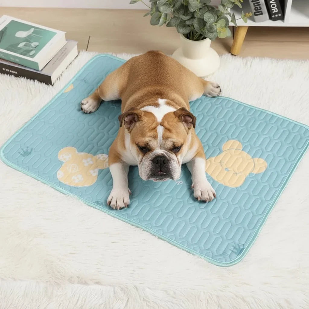 Dog Cooling Mat with Ice Silk and Latex, Cat Cooling Mats with Non Slip Base, Scratch Resistant Cool Mat for Dogs_00