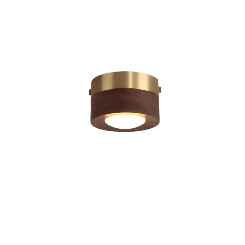 LED Ceiling Lights, Wooden Ceiling Spotlight in Warm or Three Colour Light, Bedroom Ceiling Light, LED Light Fitting_08