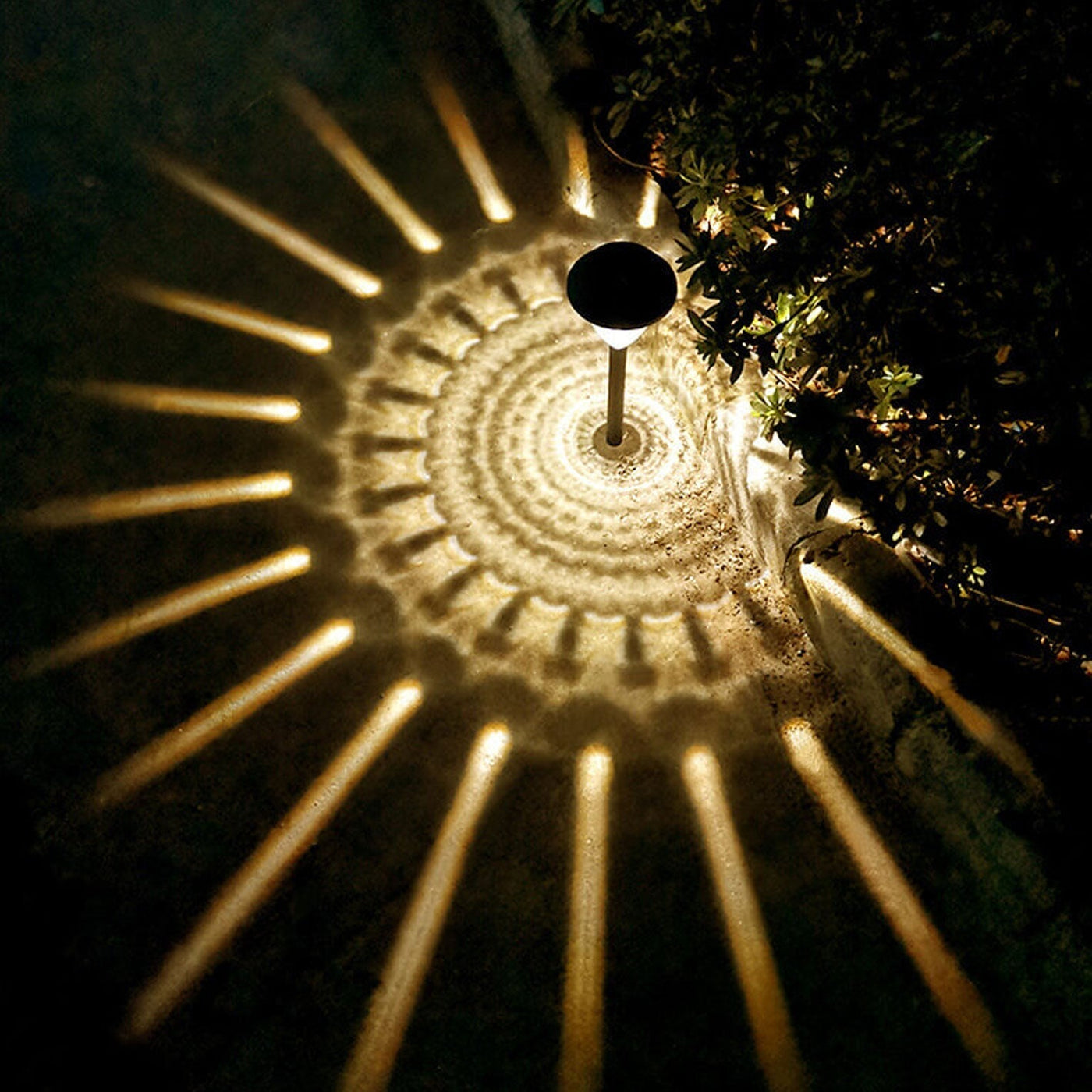 LuminaraGlow | Stylish Eco-Friendly Solar Garden Stake Light 6
