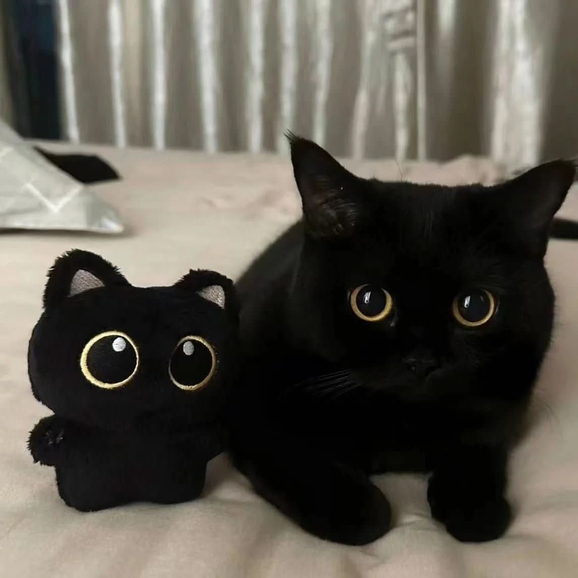 Black Cat Soft Toy 10 cm, Small Plush Toy for Children, Cat Cuddly Toy, Cat Stuffed Animal in Pack of 1 or 2