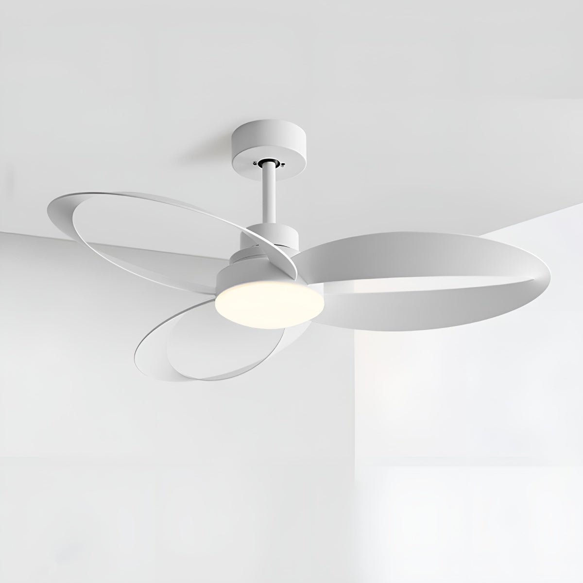 Modern Minimalist Ceiling Fan with LED Light & Remote Control | Stylish Bedroom Ceiling Fan for Year-Round Comfort 4