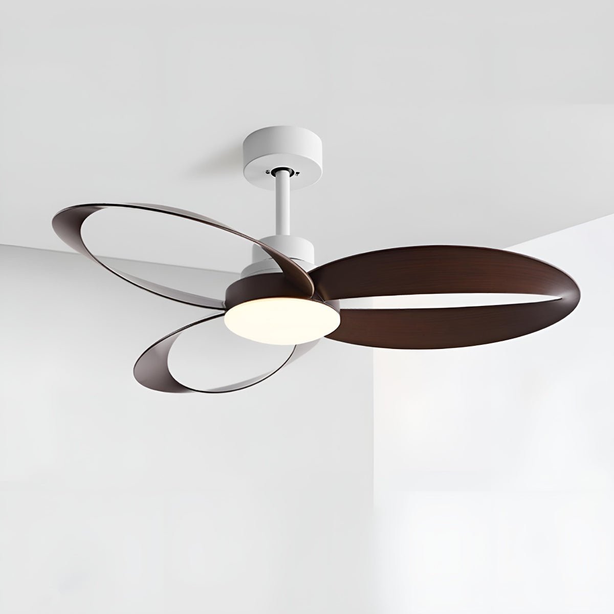 Modern Minimalist Ceiling Fan with LED Light & Remote Control | Stylish Bedroom Ceiling Fan for Year-Round Comfort 5
