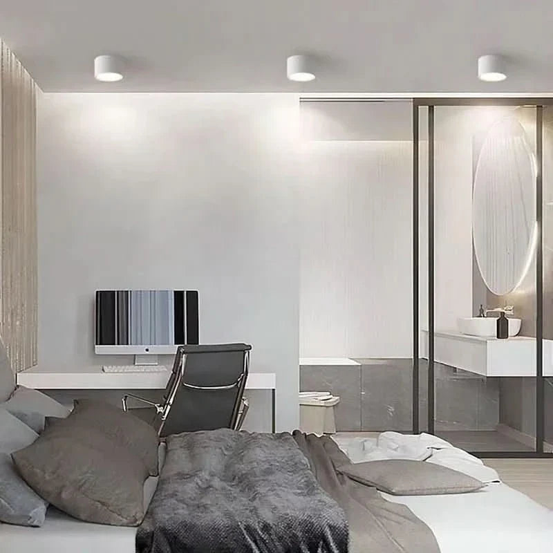 LED Ceiling Lights, Lounge Ceiling Light in Black and White, Hallway Ceiling Light for Bedroom and Office