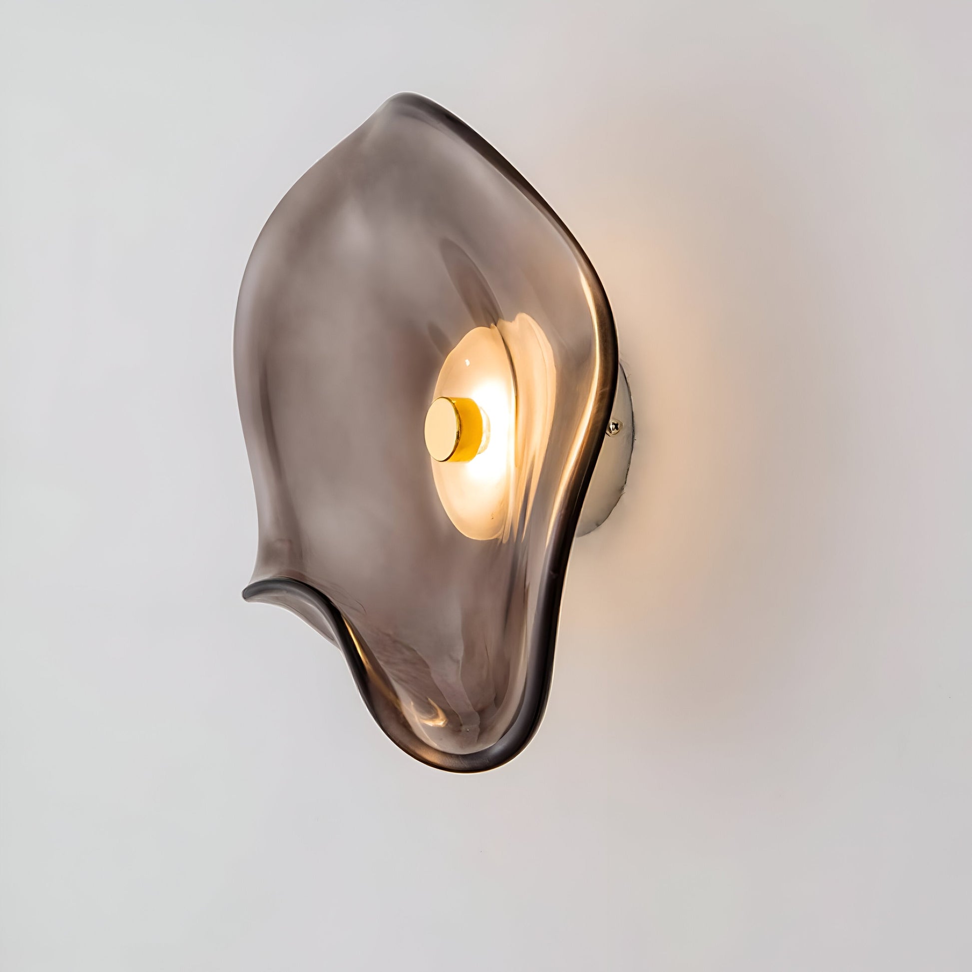 Nordic Curved Glass Wall Sconce with Warm LED Glow | Minimalist Lighting for Cozy Ambiance 1