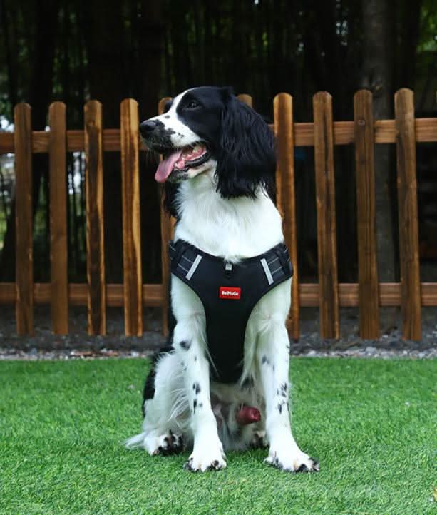 No Pull Dog Harness, Adjustable Anti Pull Harness with Reflective Details, Y Shaped Dog Harness for Small and Large Dogs_02
