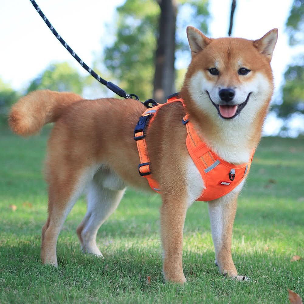 No Pull Dog Harness, Adjustable Anti Pull Harness with Reflective Details, Y Shaped Dog Harness for Small and Large Dogs_01