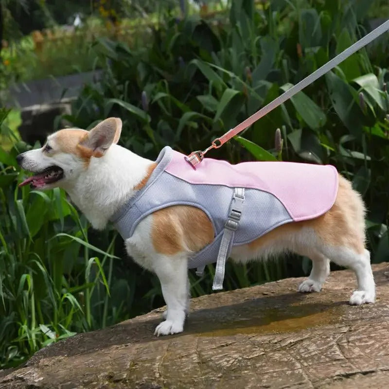 Outdoor Companion | Dog Cooling Vest with Three-Layer Fabric for Instant Relief