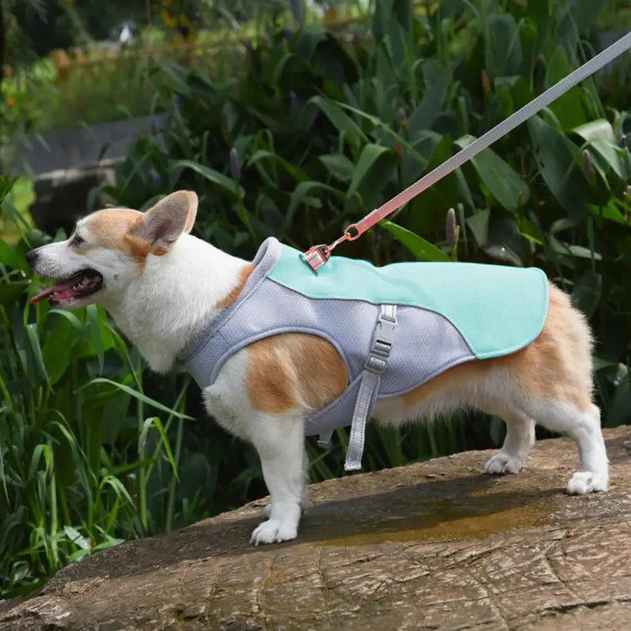Outdoor Companion | Dog Cooling Vest with Three-Layer Fabric for Instant Relief