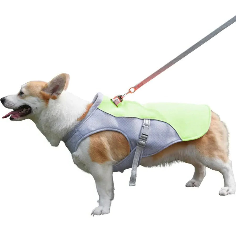 Outdoor Companion | Dog Cooling Vest with Three-Layer Fabric for Instant Relief 7