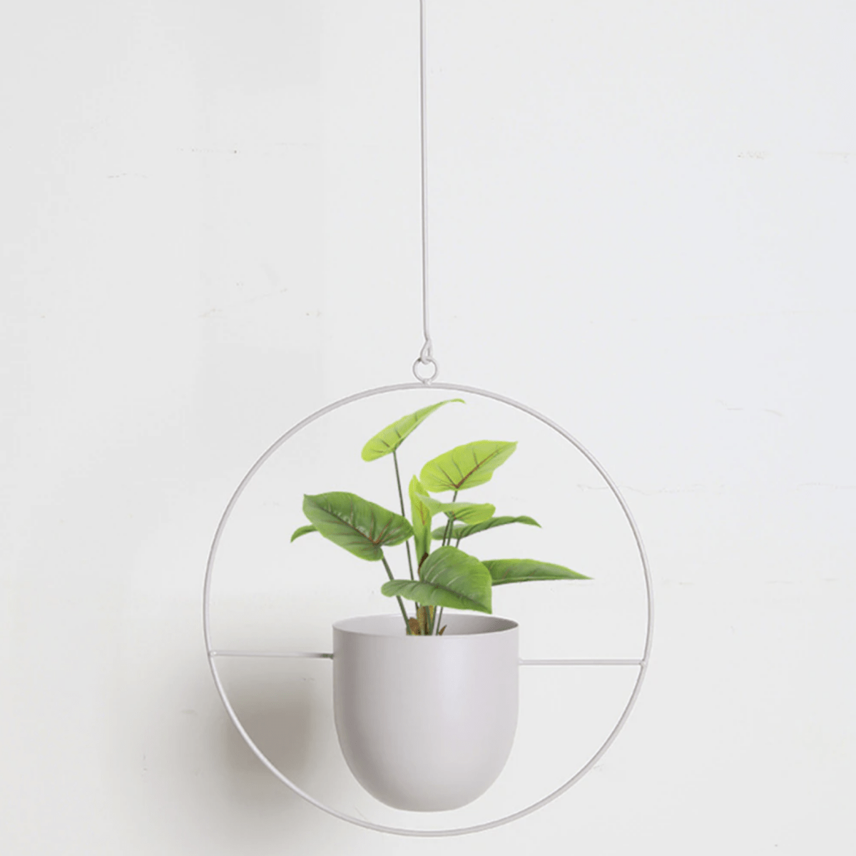 Plant Hangers for Wall, Hanging Plant Holder for Indoor Plants – image 11