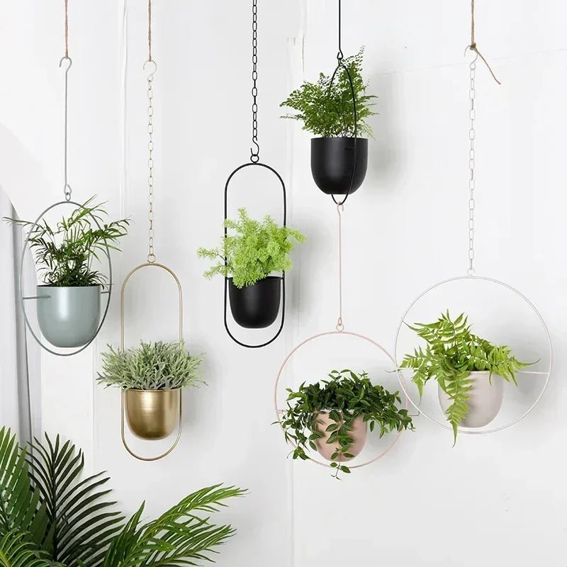 Plant Hangers for Wall, Hanging Plant Holder for Indoor Plants