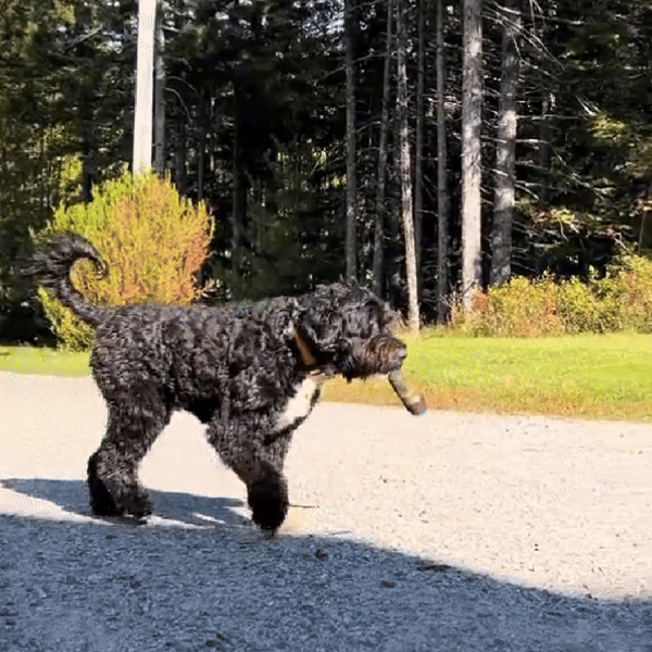 Plush Dog Toy, Funny Dog Toys for Puppies, Interactive Puppy Toy for Throwing and Tugging_05