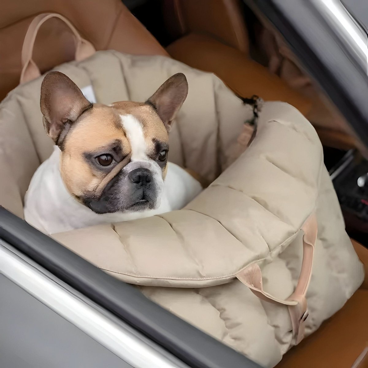 Dog Carrier Bag for Small Dogs, Pet Carrier with Warm Lining and Safety Belt, Puppy Carrier, Dog Handbag for Travel