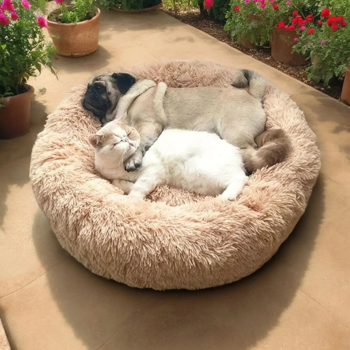 Large Dog Beds, Calming Dog Sofa Bed for Small to Large Dogs – image 4