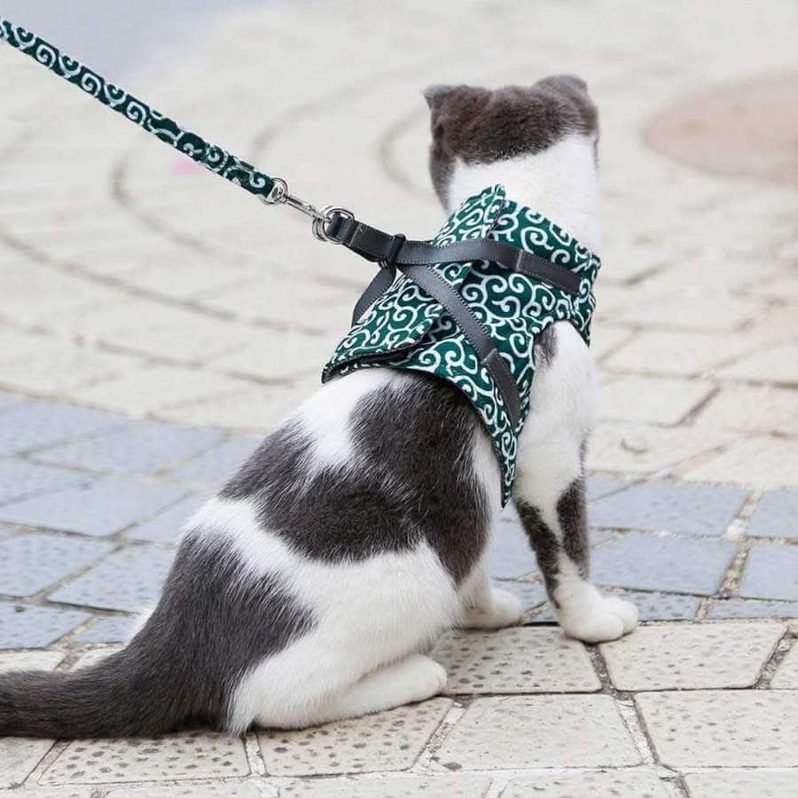 Cat Harness and Lead, Escape Proof Kitten Harness Vest with Leash, Breathable Mesh Cat Accessories for Walking_03