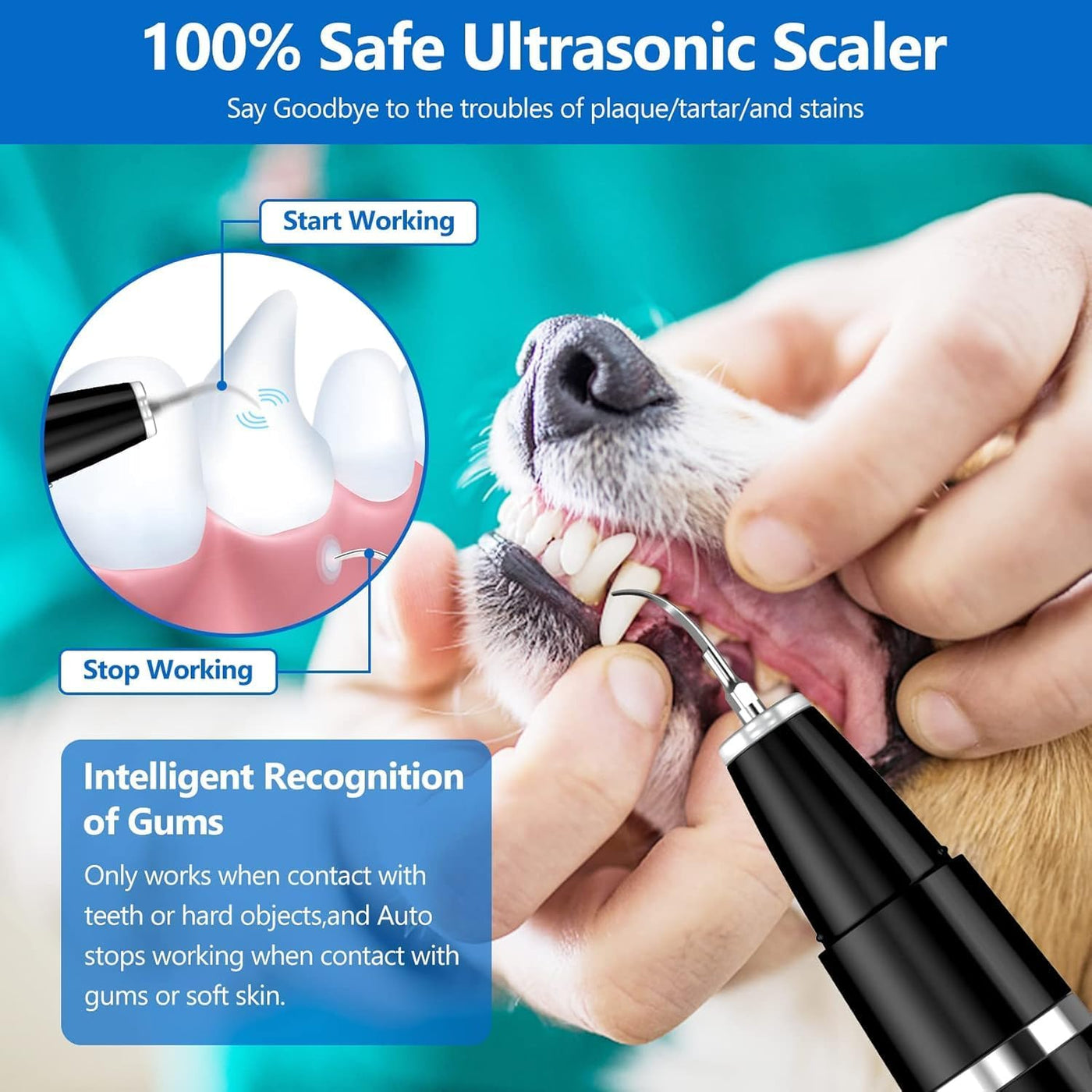 Pet Care Essentials | Ultrasonic Dog Tooth Cleaner for Quick & Gentle Oral Care 7