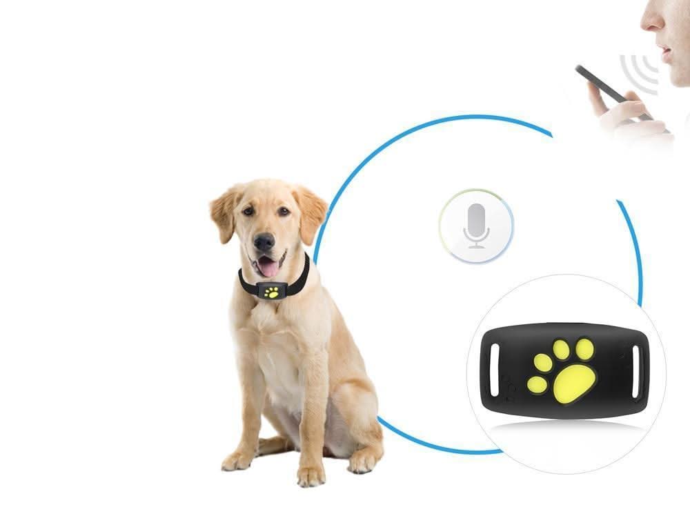 Pet Tracker Pro | GPS Dog Collar with App Location & Long Battery Life | Lightweight Design for Safety 5