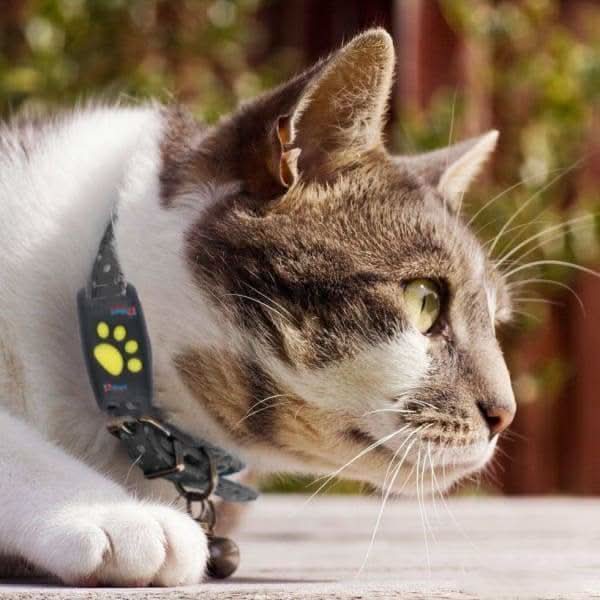 Pet Tracker Pro | GPS Dog Collar with App Location & Long Battery Life | Lightweight Design for Safety 6