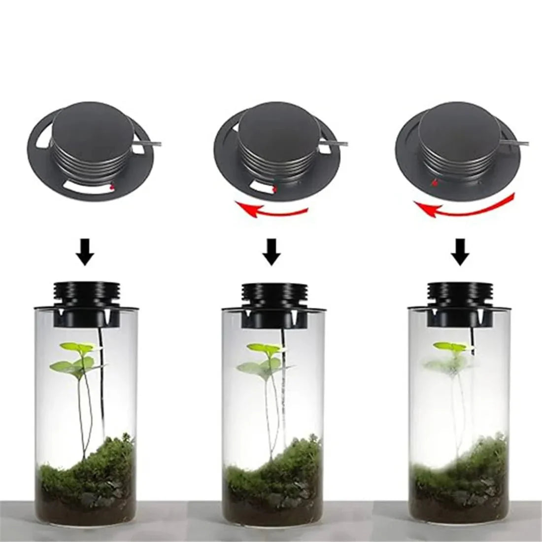 LED Grow Lamp for Indoor Plants, Plant Grow Light with Full Spectrum and Timer, USB Plant Lamp for Houseplants_02