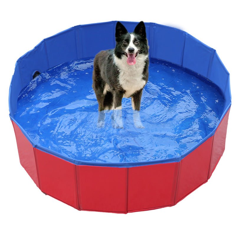 QuickDip Summer | Foldable Dog Pool with Instant Setup | Portable Bath for Refreshing Fun 5