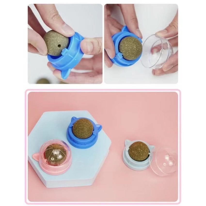 Catnip Toys for Cats, Interactive Cat Toys with 360 Degree Rotating Ball, Wall Mounted Kitten Toys for Indoor Cats_01