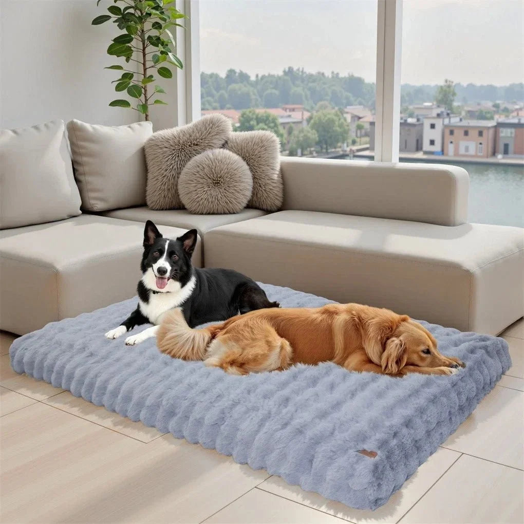Round Cat Bed, Large Dog Bed with Soft Padding, Pet Beds for Dogs and Cats in Sizes M to 4XL