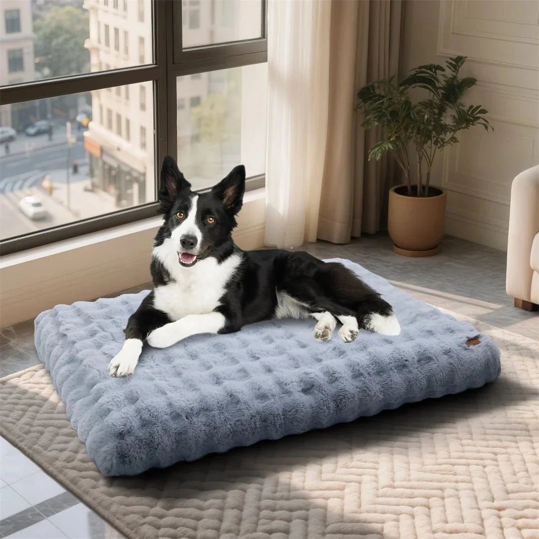 Round Cat Bed, Large Dog Bed with Soft Padding, Pet Beds for Dogs and Cats in Sizes M to 4XL_05