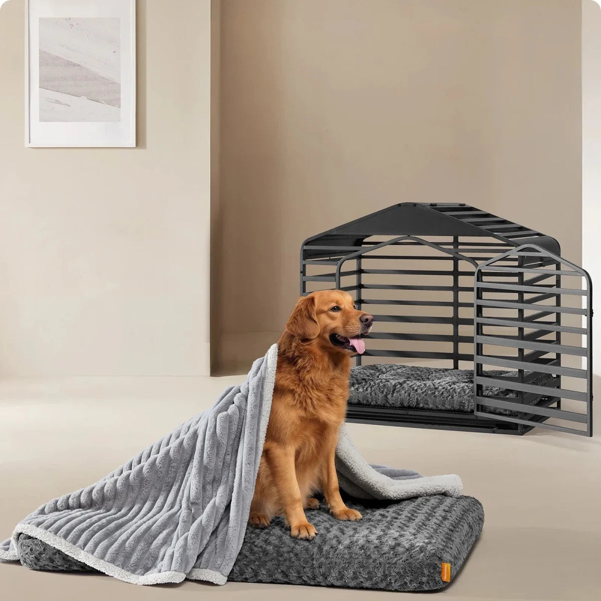 Large Dog Cushion, XL Dog Bed with Soft Padding, Extra Large Dog Bed in Sizes M to XXL_02