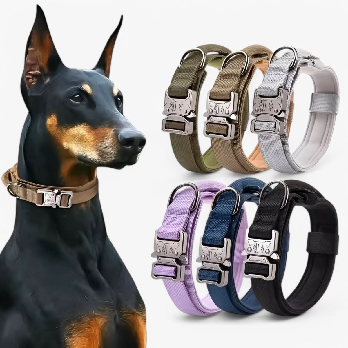 Tactical Dog Collar with Handle, Weatherproof Dog Collar for Training and Walks