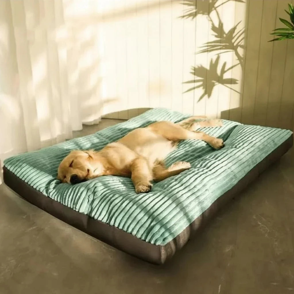 Orthopaedic Dog Beds, Pet Bed for Puppies and Senior Dogs