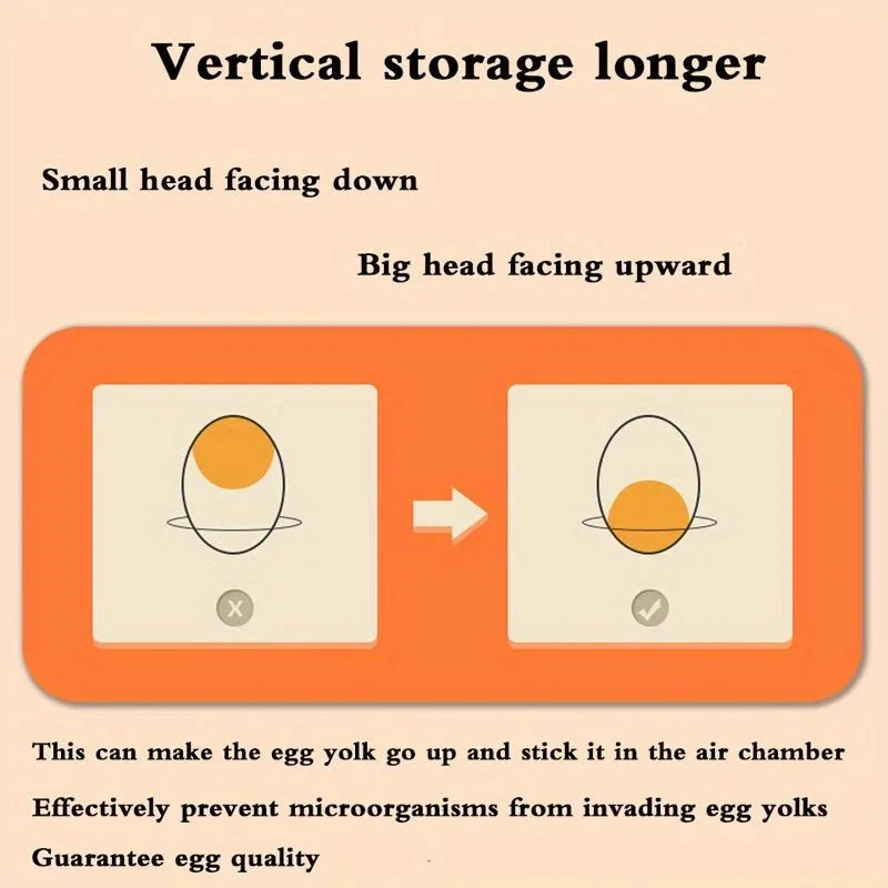 Egg Box for Fridge – image 4