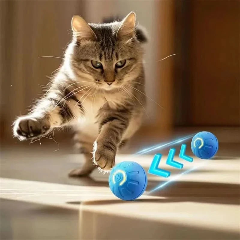 Interactive Dog Balls, Rechargeable Moving Dog Toy for Puppies, Puppy Toys, Automatic Bouncing Dog Ball_02