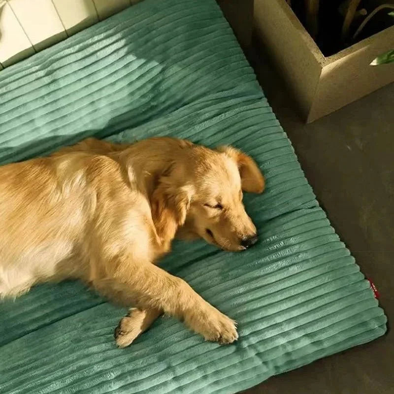 Orthopaedic Dog Beds – image 4