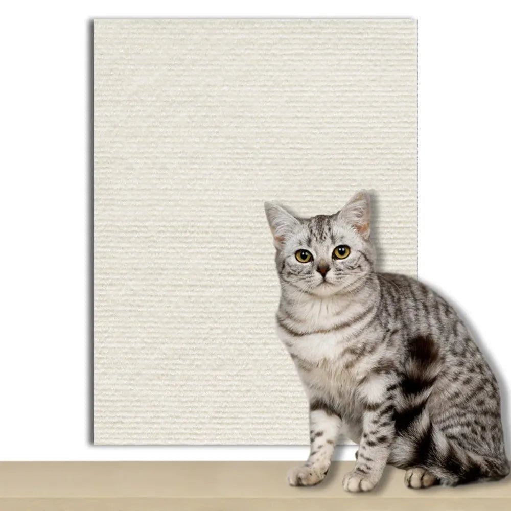 Sofa Scratch Protector for Walls and Carpet – image 13