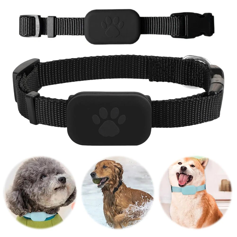 GPS Cat Tracker Collar, Dog Tracker – image 6