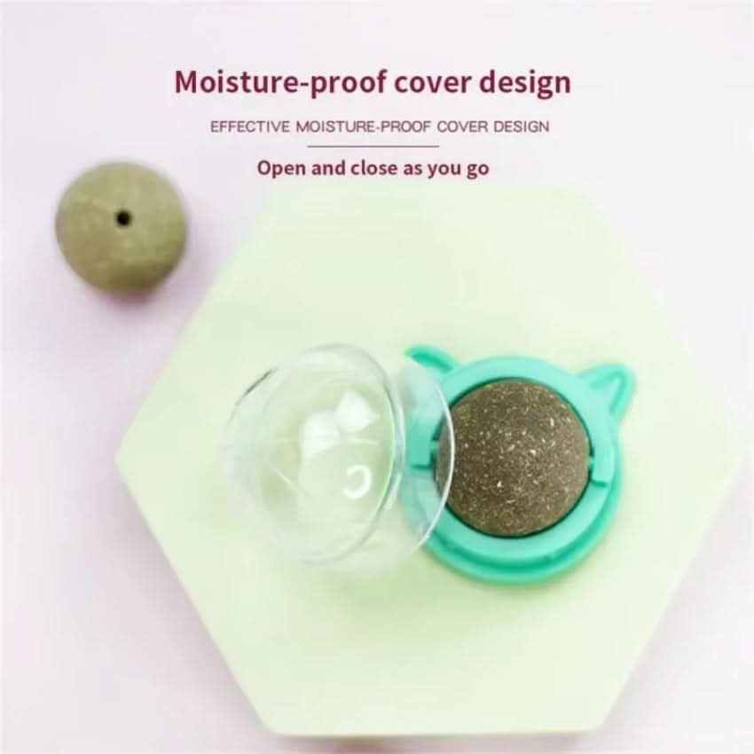 Catnip Toys for Cats, Interactive Cat Toys with 360 Degree Rotating Ball, Wall Mounted Kitten Toys for Indoor Cats_05