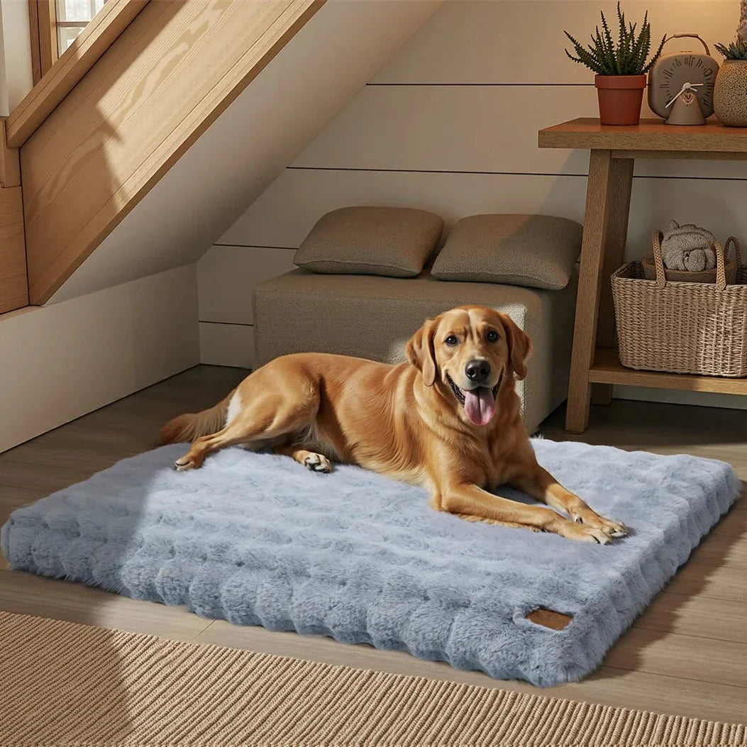 Round Cat Bed, Large Dog Bed with Soft Padding, Pet Beds for Dogs and Cats in Sizes M to 4XL
