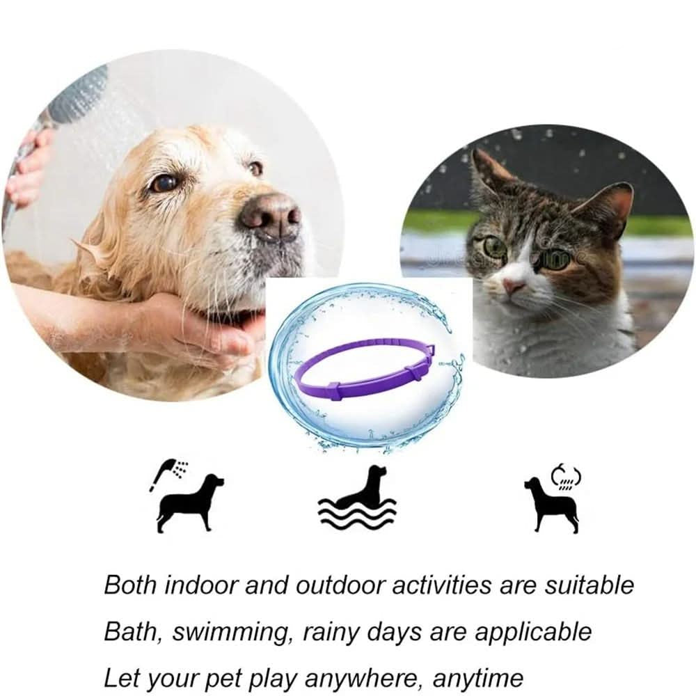 Cat Flea Collar with Essential Oils – image 8