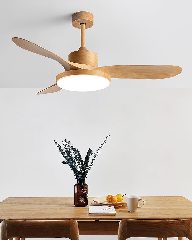 Scandinavian Ceiling Fan with LED Light & Remote Control | Modern Design for Year-Round Comfort 4