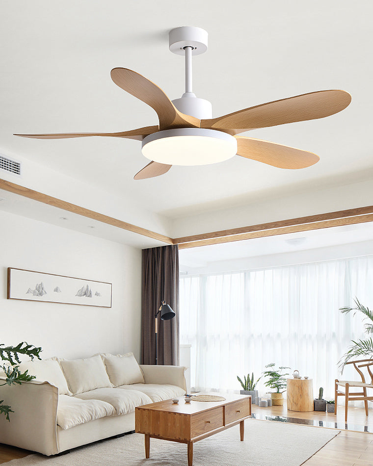 Scandinavian Ceiling Fan with LED Light & Remote Control | Modern Design for Year-Round Comfort 6