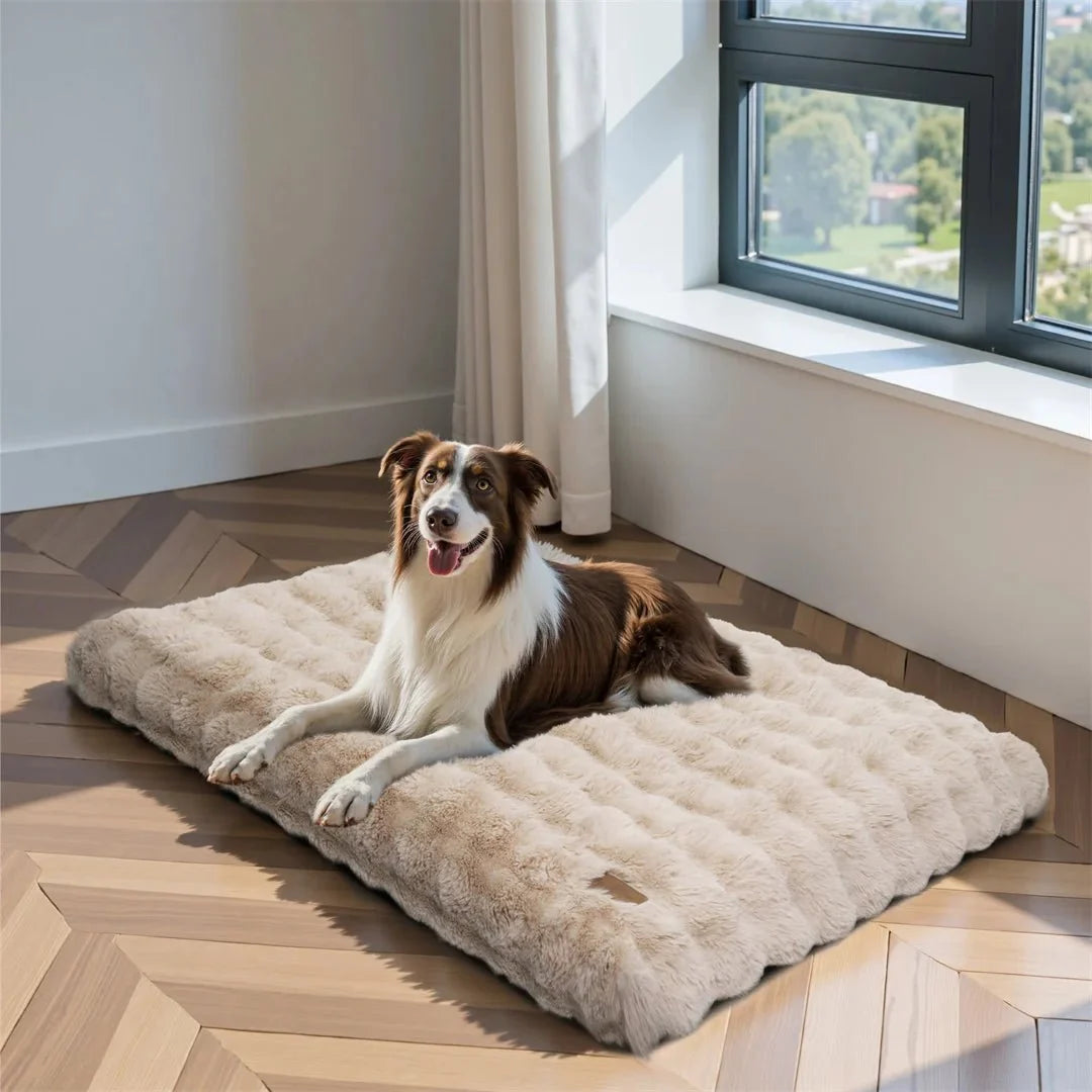 Round Cat Bed, Large Dog Bed with Soft Padding, Pet Beds for Dogs and Cats in Sizes M to 4XL_02