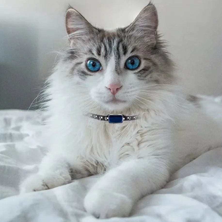 GPS Car Tracker, Mini GPS Tracker for Kids and Luggage with Real Time App, Cat Tracker for Pets_01