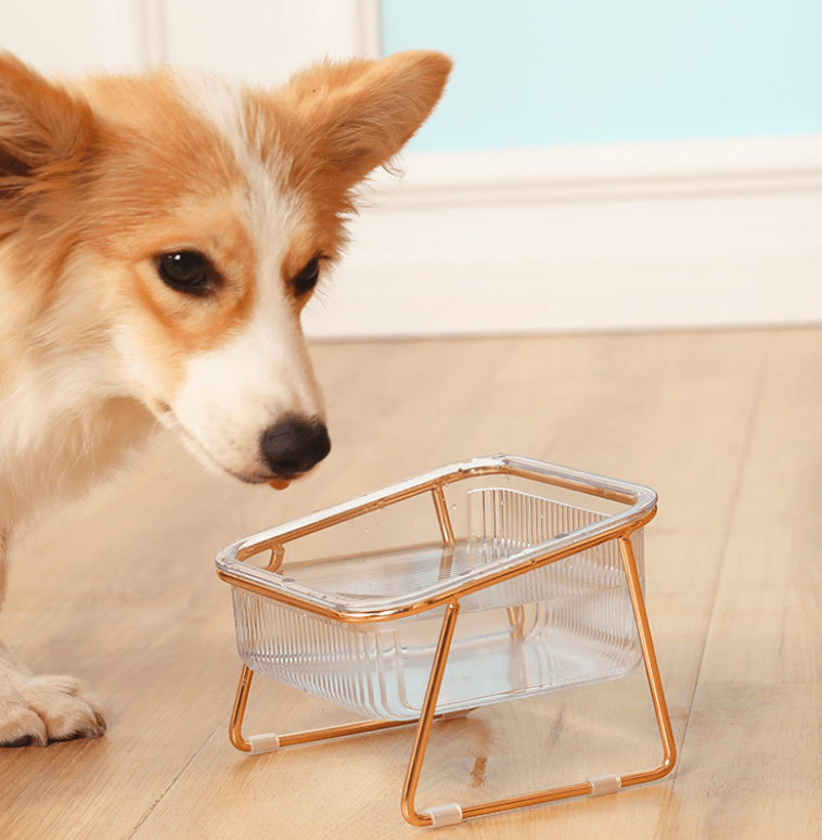 Raised Cat Bowls, Raised Dog Bowl for Small Dogs, Raised Cat Food Bowl with Stand and Non Slip Feet