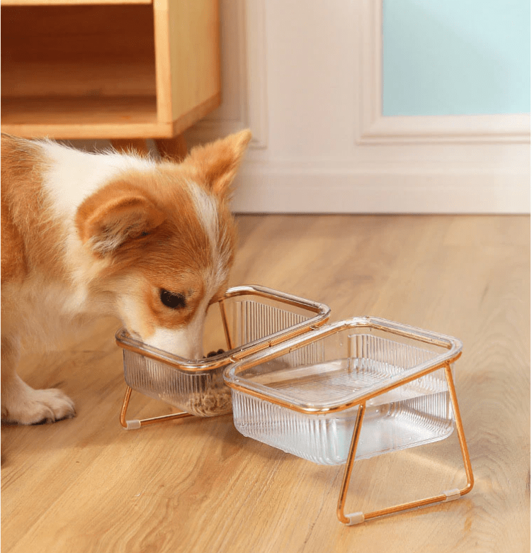 Raised Cat Bowls, Raised Dog Bowl for Small Dogs, Raised Cat Food Bowl with Stand and Non Slip Feet_03