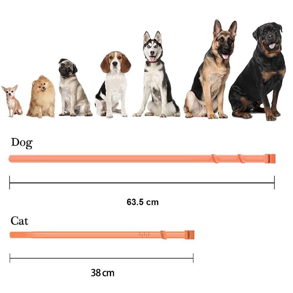 Cat Flea Collar with Essential Oils – image 6