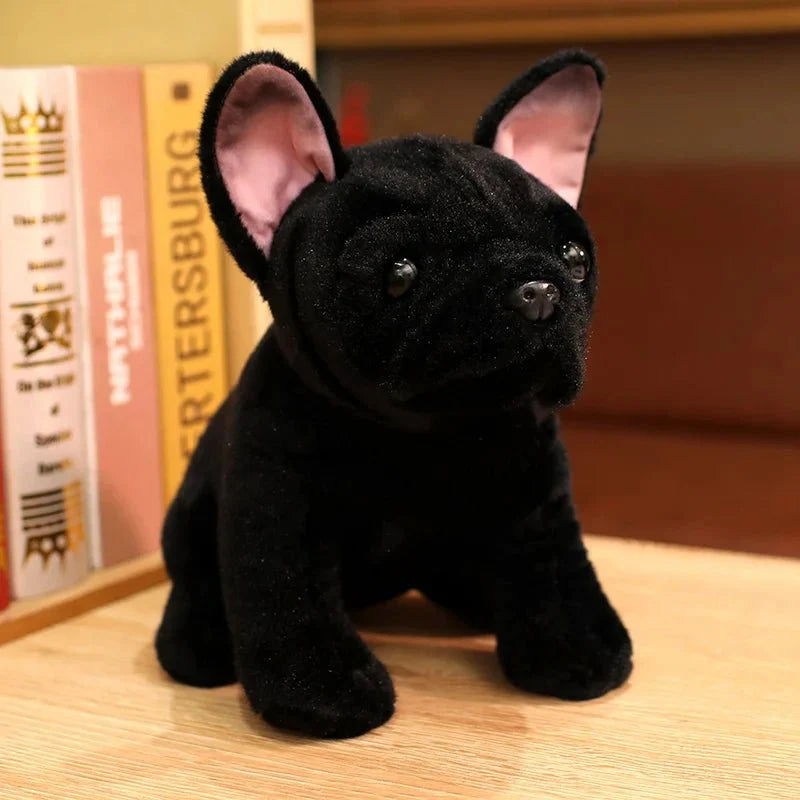 Dog Teddy – image 7