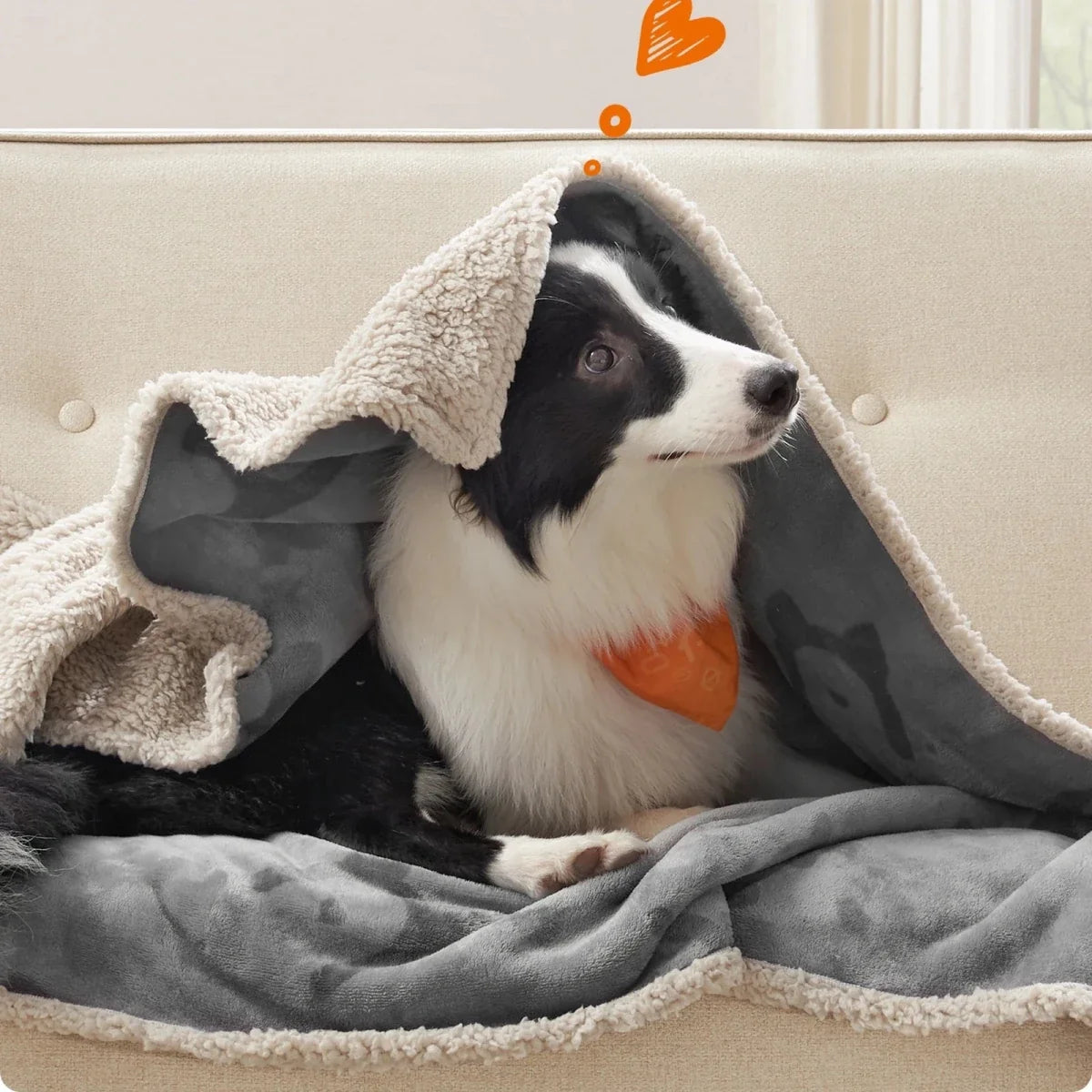 Dog Blanket for Sofa, Sherpa Cat Blankets for Bed and Carrier, Soft Fluffy Puppy Blanket for Dogs and Cats_02