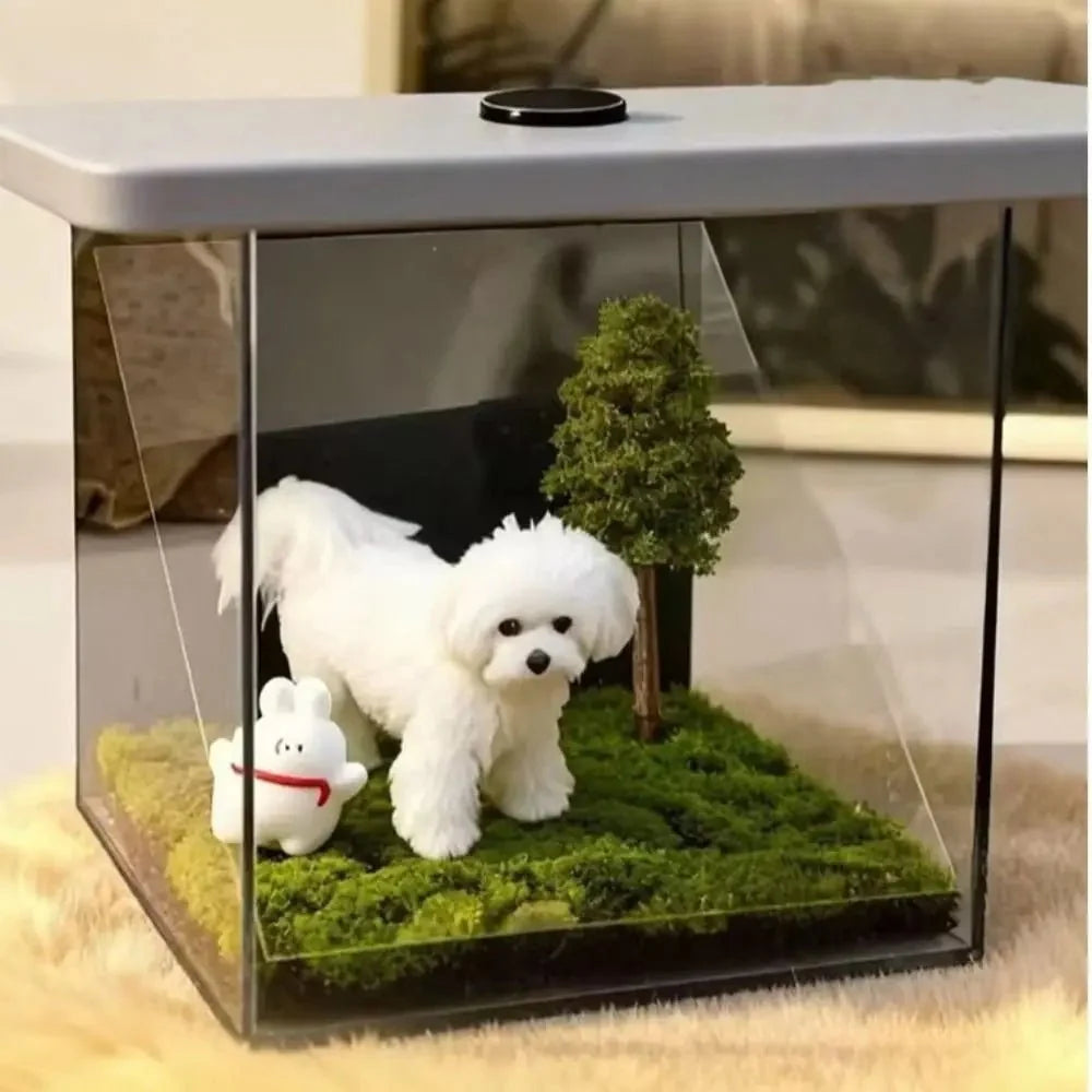 Pet Memory Box, Acrylic Keepsake Box with Holographic Finish, Decorative Storage Box for Pet Memorial Keepsakes_03