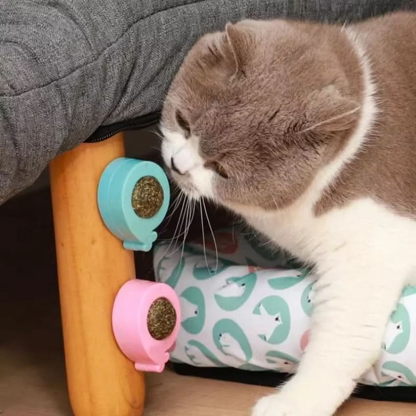 Catnip Toys for Cats, Interactive Cat Toys with 360 Degree Rotating Ball, Wall Mounted Kitten Toys for Indoor Cats