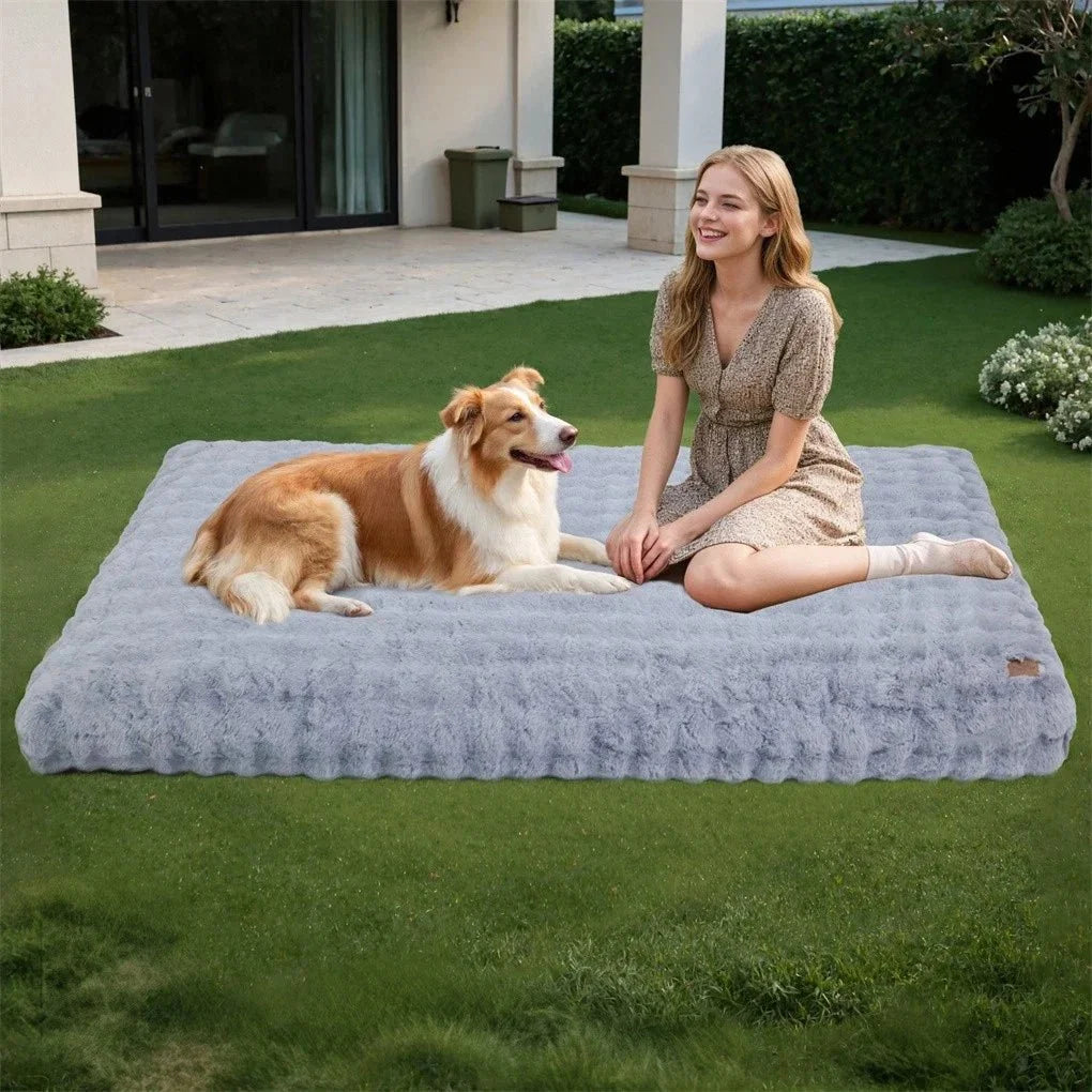 Round Cat Bed, Large Dog Bed with Soft Padding, Pet Beds for Dogs and Cats in Sizes M to 4XL_03